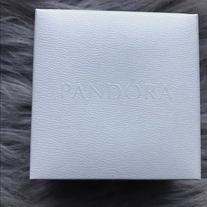 Pandora bracelet with charm